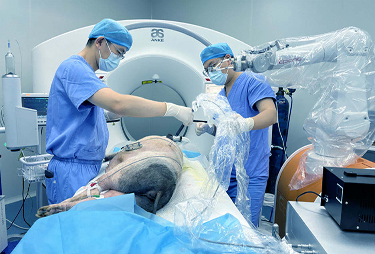 心血管器械完成临床前动物实验研究