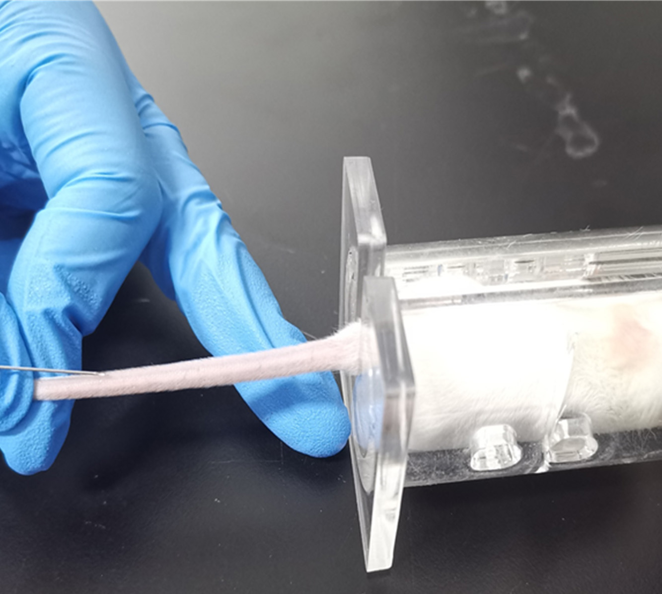 生物相容性评价