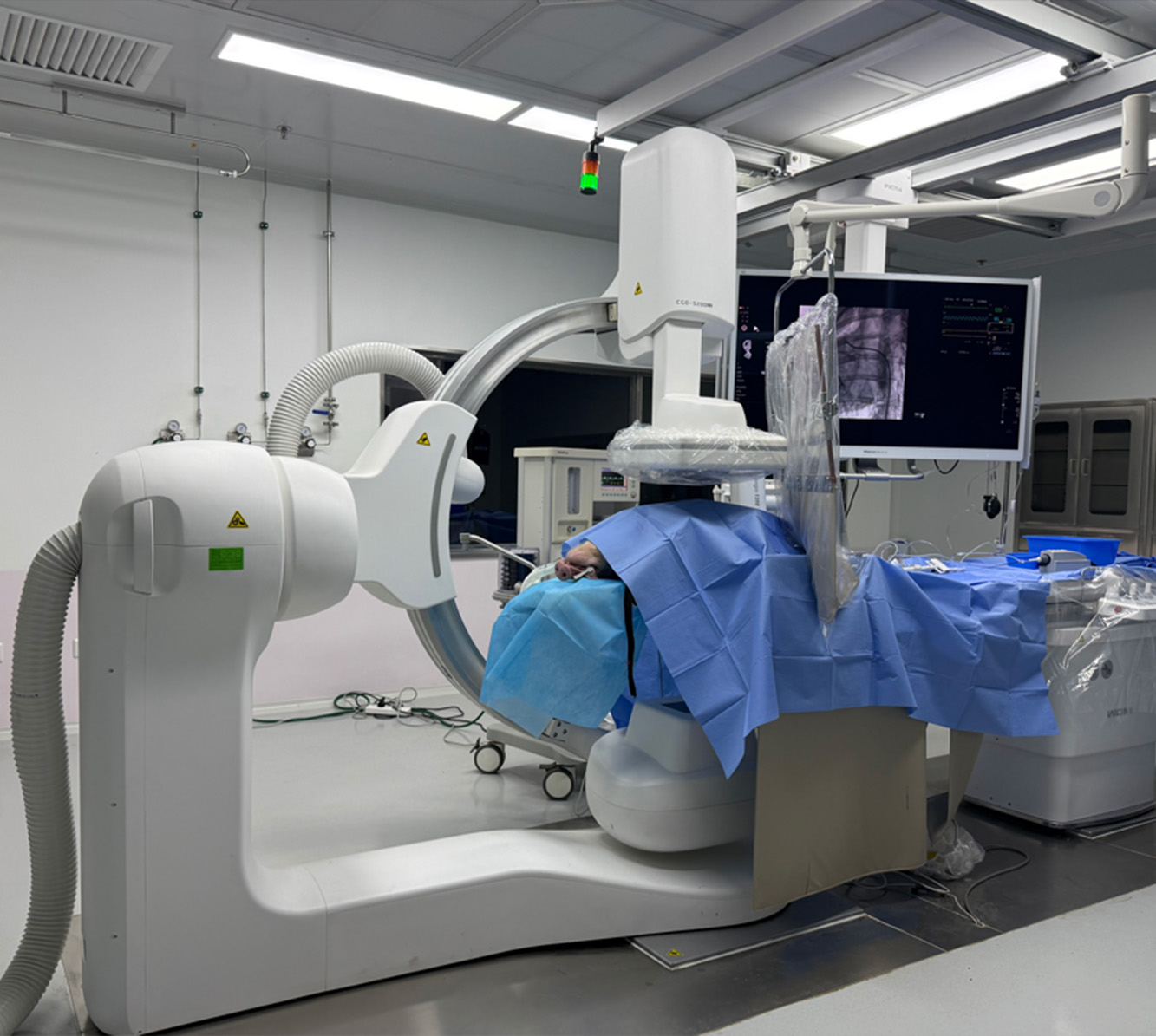 颅内取栓支架安全有效性评价动物实验研究