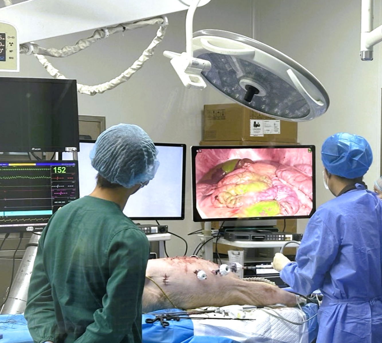 内窥镜系统临床前动物实验研究