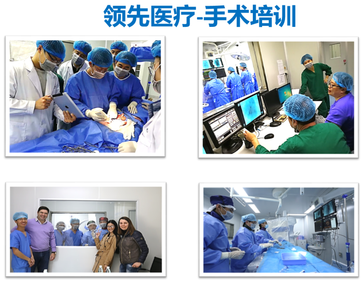 冠状动脉支架植入动物实验培训