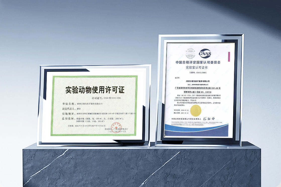 2025-康恒医疗