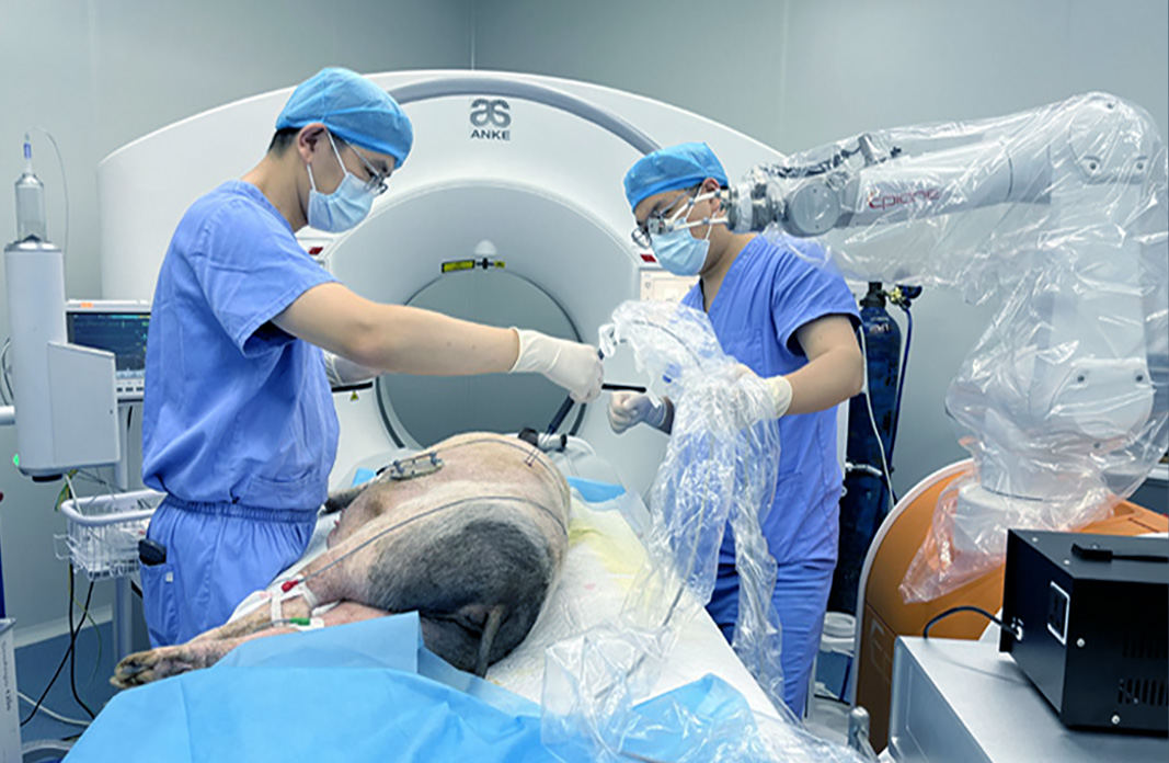 心血管器械完成临床前动物实验研究