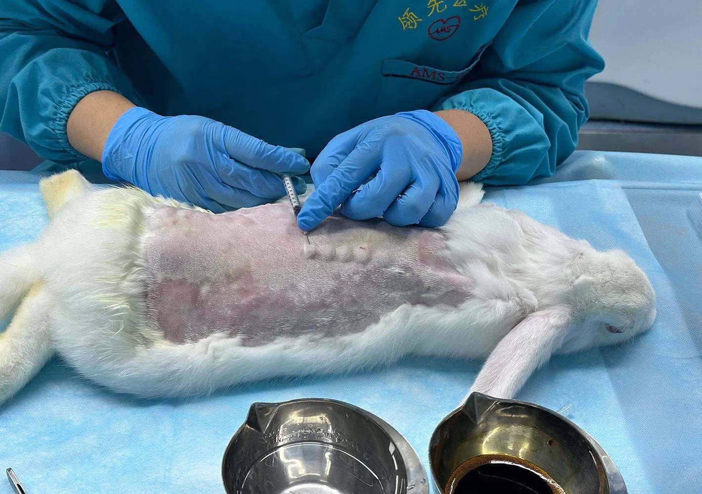 生物相容性测试