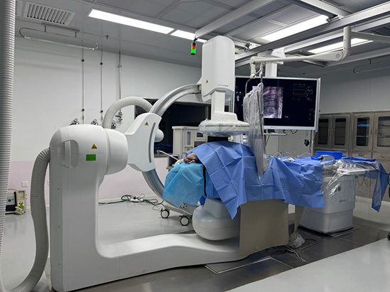 颅内取栓支架安全有效性评价动物实验研究