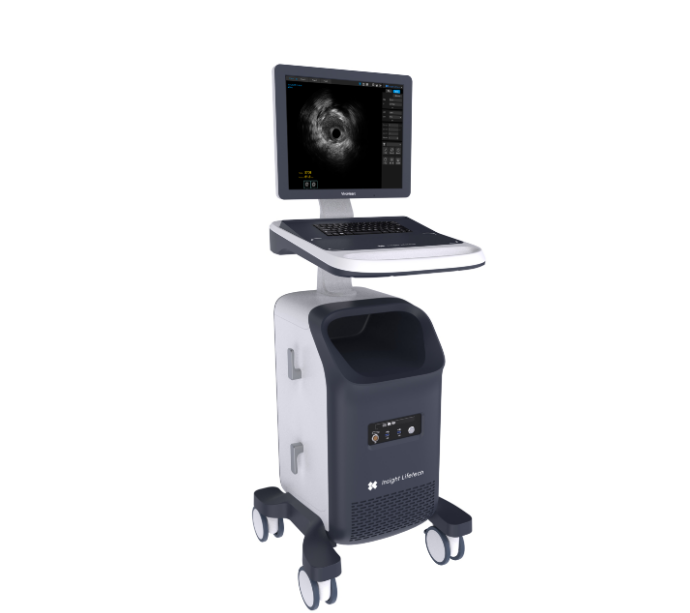 血管内超声成像（IVUS）完成临床前动物实验研究