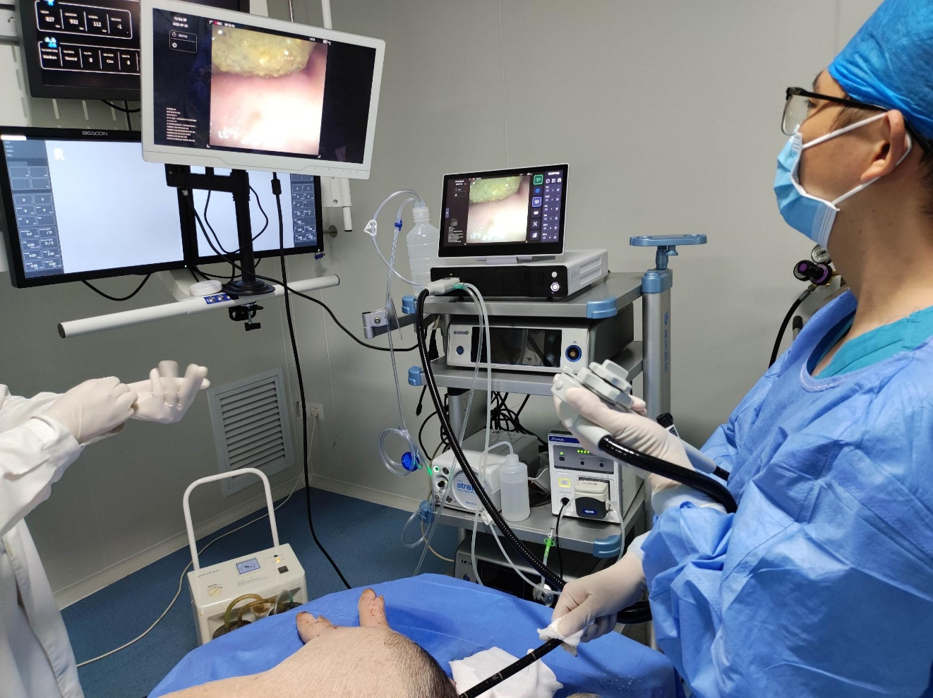 一次性使用电子下消化道内窥镜安全性和有效性评价动物实验研究