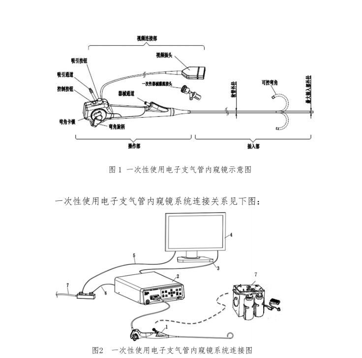 一次性使用支气管内窥镜导管动物实验研究