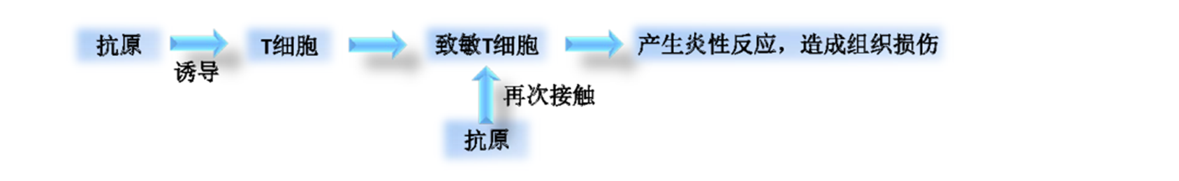致敏试验