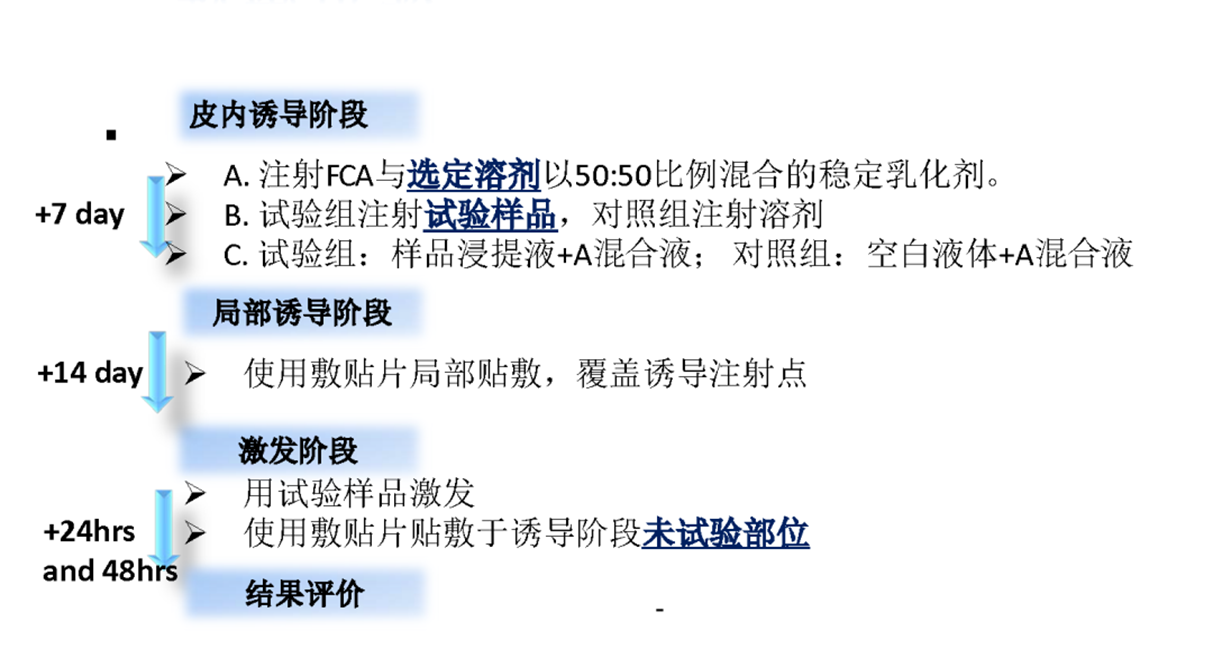 致敏试验