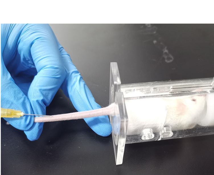 生物相容性评价